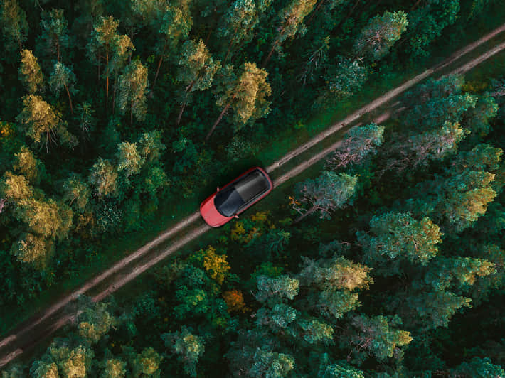 acerca de xpeng planta