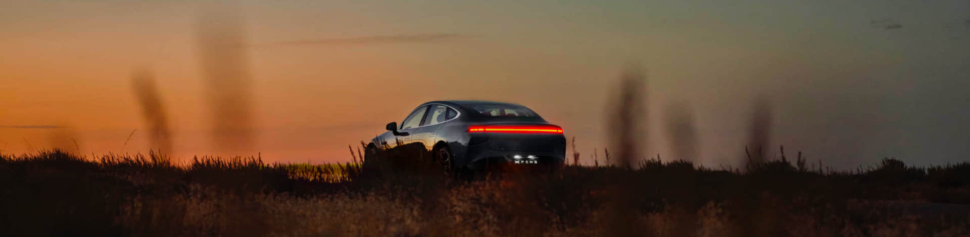 ¿HACIA DÓNDE VAMOS?